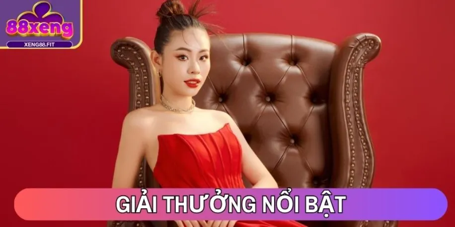 Giải thưởng nổi bật