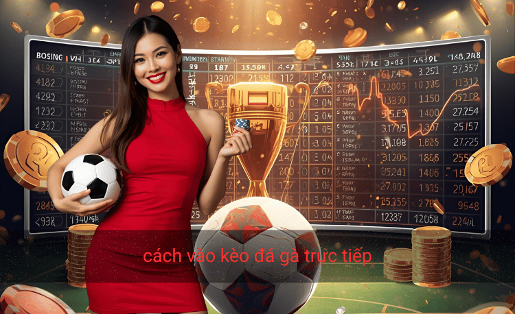 Cách vào kèo đá gà trực tiếp